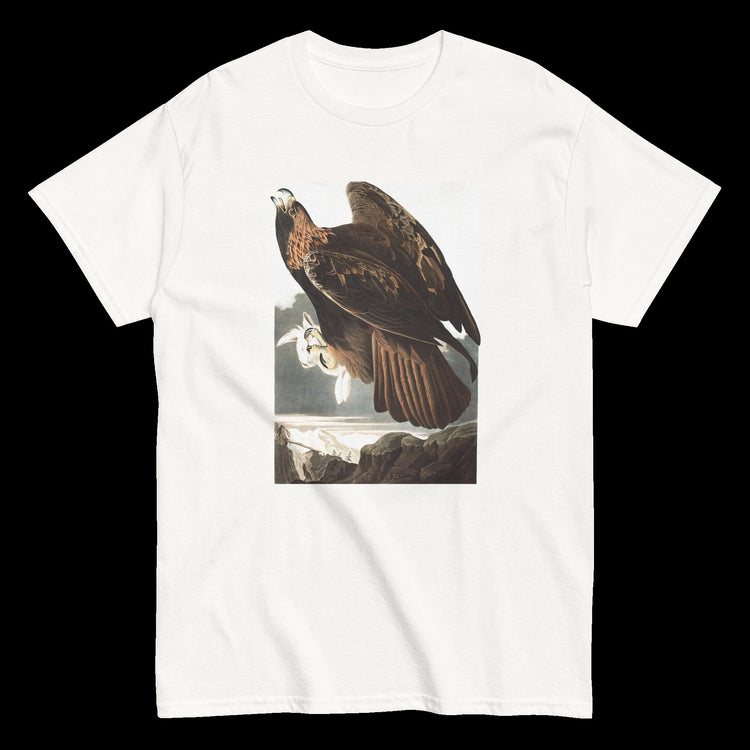 Birds and Animals