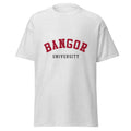 Unisex heather gray t-shirt featuring Bangor University logo printed across the front chest
