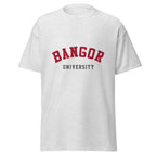 Unisex heather gray t-shirt featuring Bangor University logo printed across the front chest