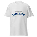 Unisex heather gray t-shirt featuring University of Limerick logo printed across the front chest