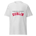 Unisex heather gray t-shirt featuring Technological University Dublin logo printed across the front chest