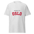 Unisex heather gray t-shirt featuring University of Oslo logo printed across the front chest