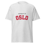Unisex heather gray t-shirt featuring University of Oslo logo printed across the front chest