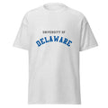 Unisex heather gray t-shirt featuring University of Delaware logo printed across the front chest