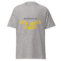 Unisex heather gray t-shirt featuring University of New South Wales logo printed across the front chest