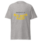 Unisex heather gray t-shirt featuring University of New South Wales logo printed across the front chest