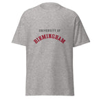 Unisex heather gray t-shirt featuring University of Birmingham logo printed across the front chest