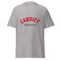 Unisex heather gray t-shirt featuring Cardiff University logo printed across the front chest