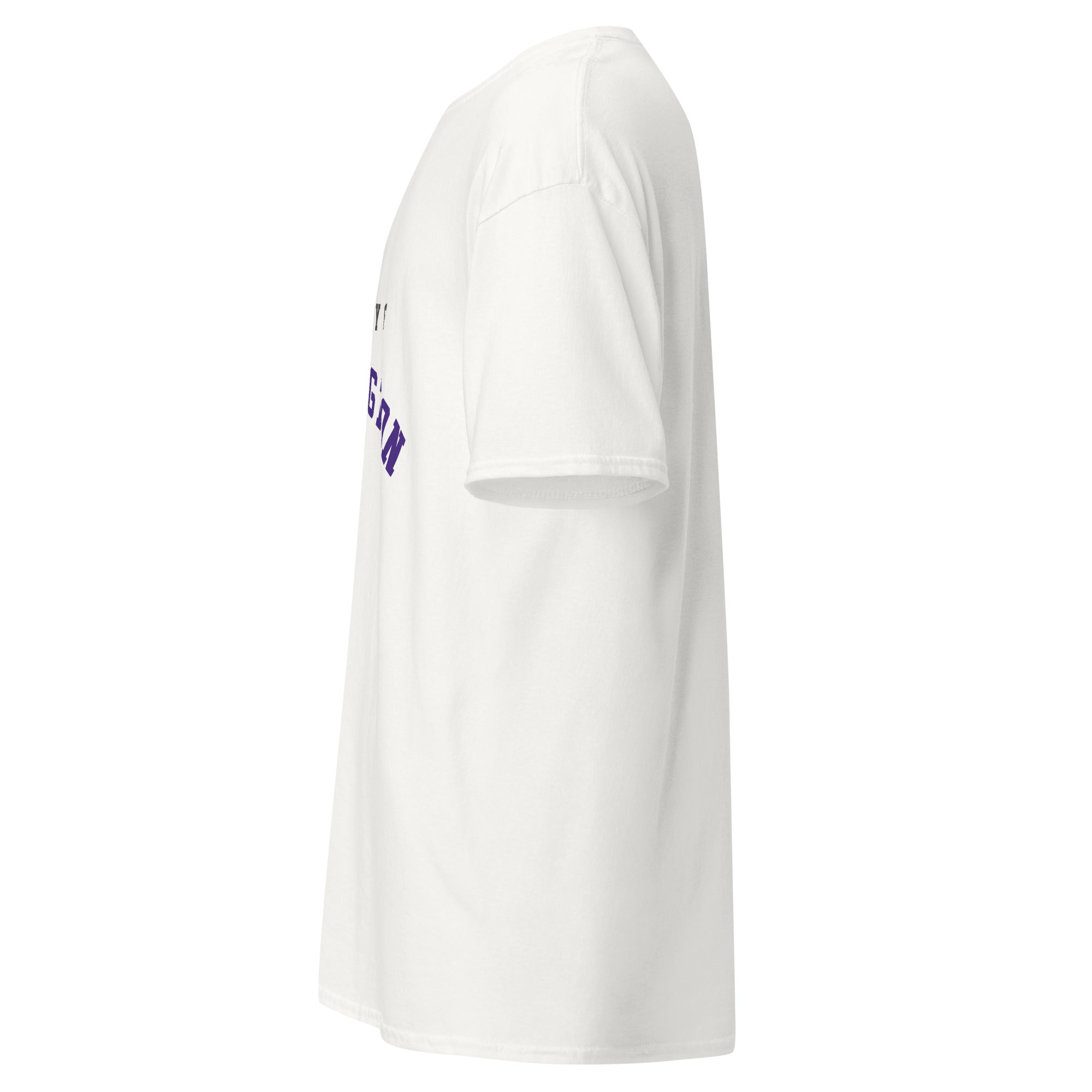 Unisex classic tee featuring University of Washington name and branding in purple and gold