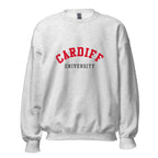 Unisex heather gray sweatshirt featuring Cardiff University logo printed across the front chest