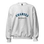 Unisex black sweatshirt featuring Swansea University logo printed across the front chest