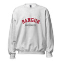 Unisex black sweatshirt featuring Bangor University logo printed across the front chest