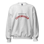 Unisex black sweatshirt featuring University of Copenhagen logo printed across the front chest