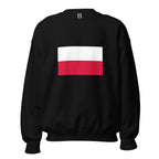 Unisex heather gray sweatshirt featuring Polish flag design printed across the front chest