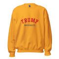 Unisex heather gray sweatshirt featuring Trump University logo printed across the front chest