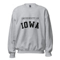 Unisex sweatshirt featuring University of Iowa name and branding in black and gold