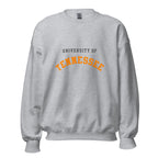 Unisex sweatshirt featuring University of Tennessee name and branding in orange and white