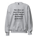 Unisex black sweatshirt with Colossians 3:14 Bible verse printed in black text on front