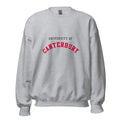 Unisex heather gray sweatshirt featuring University of Canterbury logo printed across the front chest