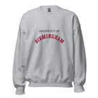 Unisex heather gray sweatshirt featuring University of Birmingham logo printed across the front chest