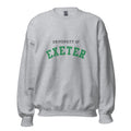 Unisex heather gray sweatshirt featuring University of Exeter logo printed across the front chest