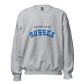 Unisex heather gray sweatshirt featuring University of Sussex logo printed across the front chest