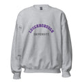 Unisex heather gray sweatshirt featuring Loughborough University logo printed across the front chest