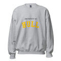 Unisex heather gray sweatshirt featuring University of Hull logo printed across the front chest