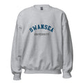 Unisex heather gray sweatshirt featuring Swansea University logo printed across the front chest
