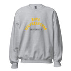 Nova Southeastern University Unisex Sweatshirt, shown in Sport Grey, front view, sizes S–5XL