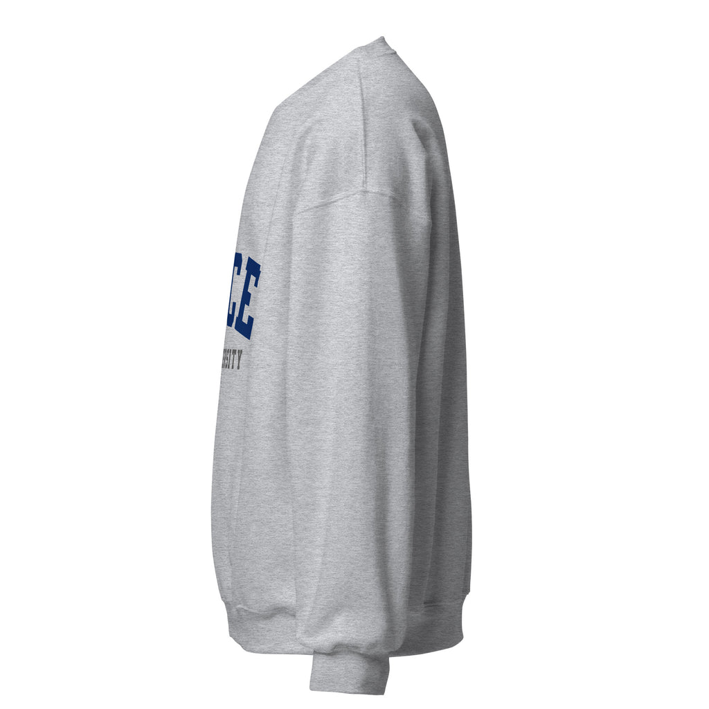Unisex sweatshirt featuring Rice University name and branding in navy and grey