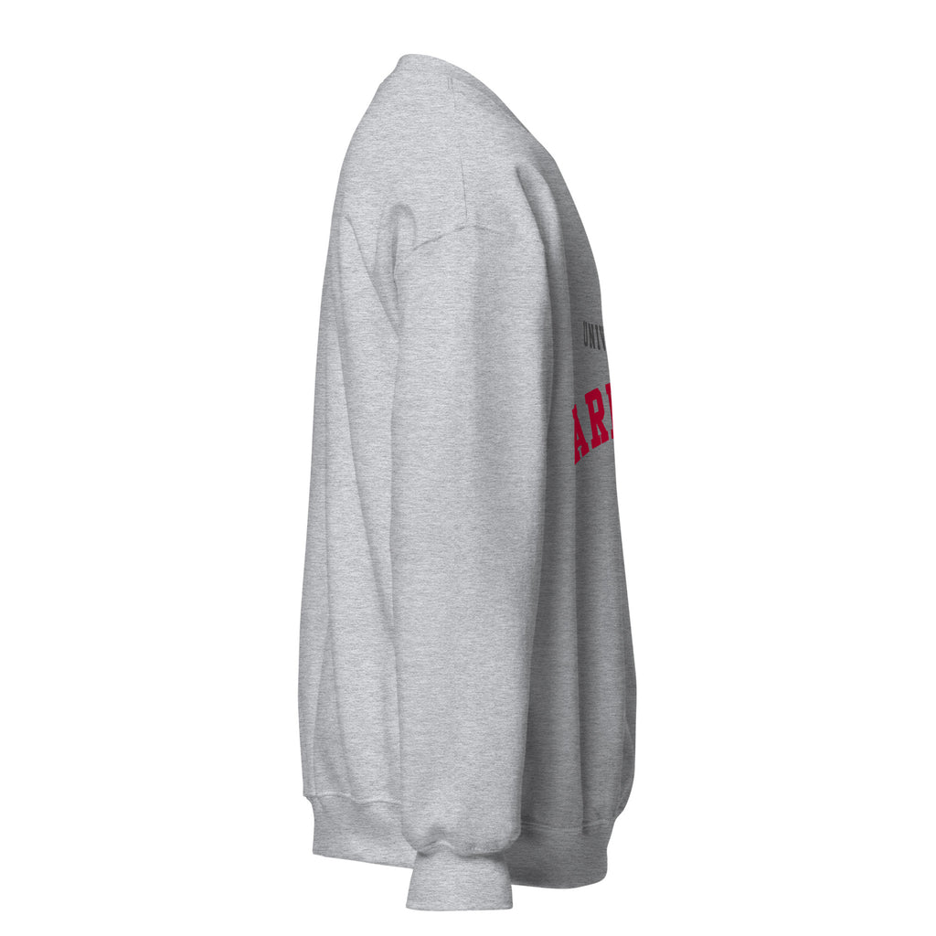 Unisex sweatshirt featuring University of Arizona name and branding in cardinal and navy