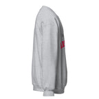 Unisex sweatshirt featuring University of Arizona name and branding in cardinal and navy