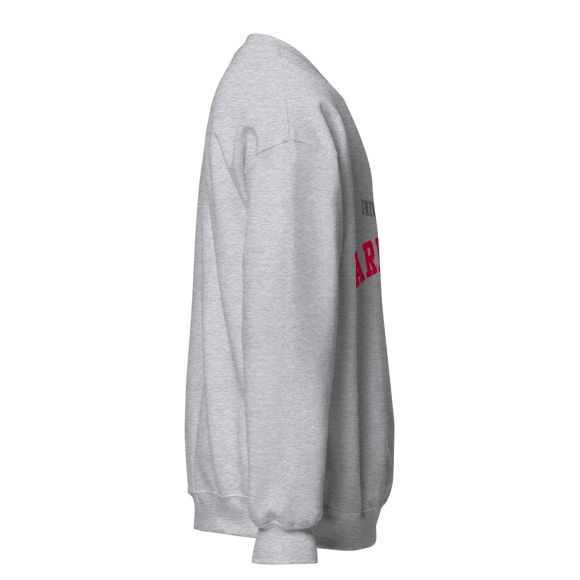 Unisex sweatshirt featuring University of Arizona name and branding in cardinal and navy
