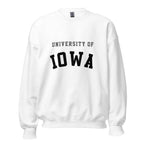 Unisex sweatshirt featuring University of Iowa name and branding in black and gold