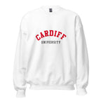 Unisex navy blue sweatshirt featuring Cardiff University logo printed across the front chest