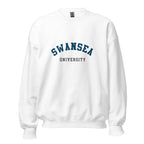 Unisex navy blue sweatshirt featuring Swansea University logo printed across the front chest