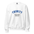 Unisex heather gray sweatshirt featuring Trinity College Dublin logo printed across the front chest