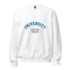 Unisex heather gray sweatshirt featuring University College Dublin logo printed across the front chest