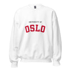 Unisex heather gray sweatshirt featuring University of Oslo logo printed across the front chest