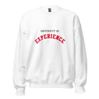 Unisex heather gray sweatshirt featuring University of Experience logo printed across the front chest