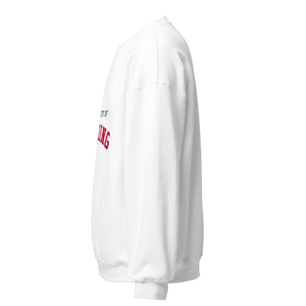 Unisex white sweatshirt featuring University of Reading logo printed across the front chest