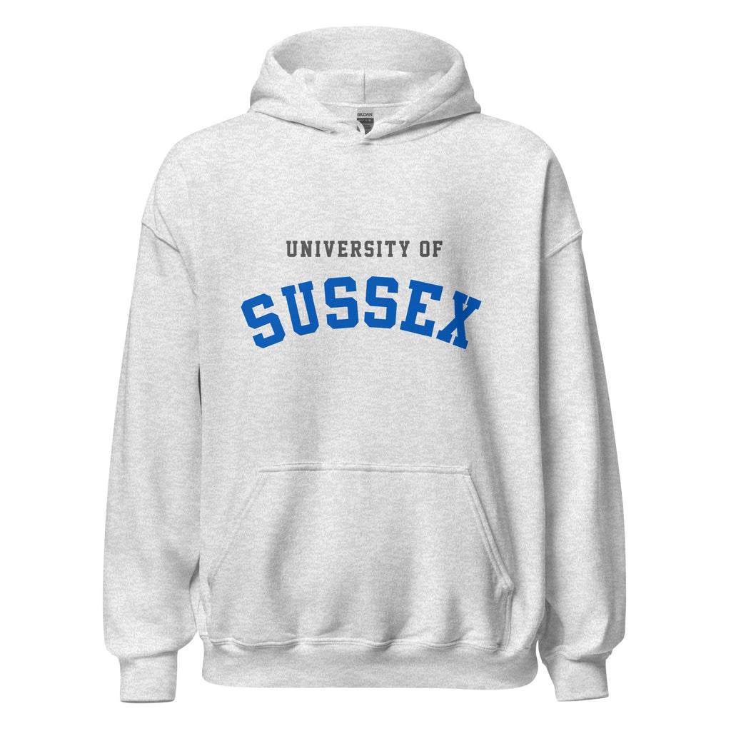 Unisex heather gray hoodie featuring University of Sussex logo printed across the front chest