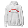 Unisex black hoodie featuring Northeastern University logo printed across the front chest
