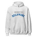 Unisex black hoodie featuring University of Delaware logo printed across the front chest