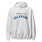 Unisex black hoodie featuring University of Delaware logo printed across the front chest