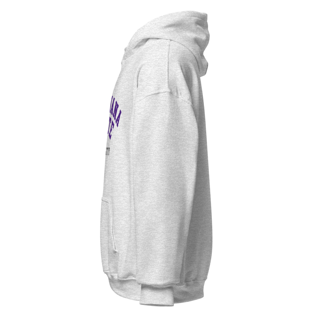 Unisex hoodie featuring Louisiana State University name and branding in purple and gold
