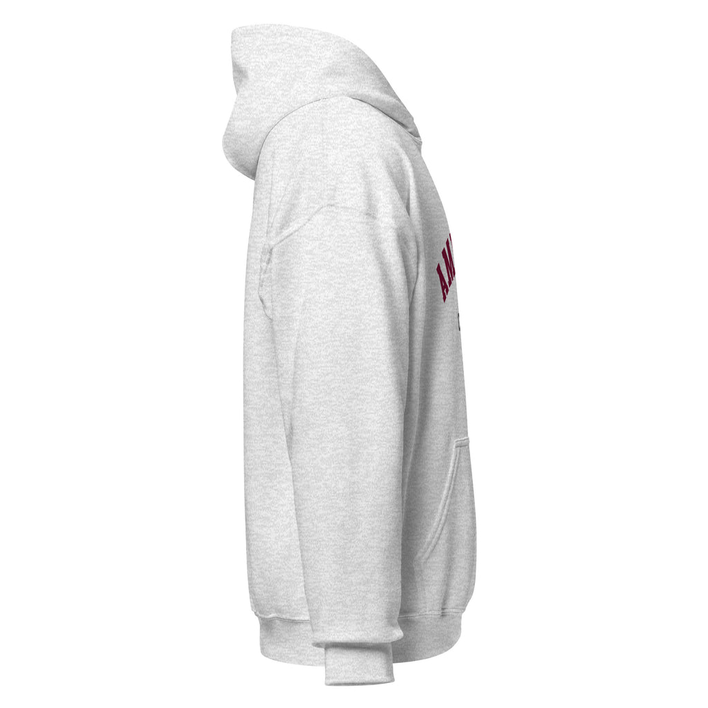 Unisex navy blue hoodie featuring Amherst College logo printed across the front chest