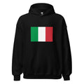 Unisex heather gray hoodie featuring Italian flag design printed across the front chest