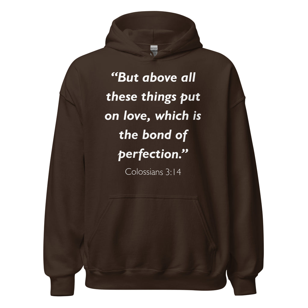 Unisex navy blue hoodie with Colossians 3:14 Bible verse printed in white text on front